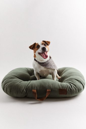 medium pet collection bed
